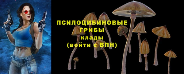 прущие крисы Вязьма
