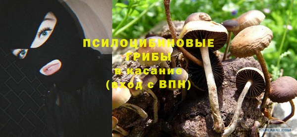 a pvp Вяземский