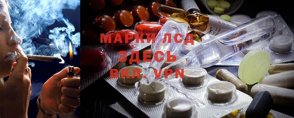 прущие крисы Вязьма