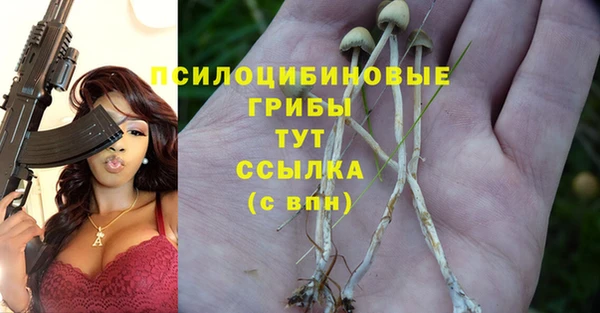jwh Гусь-Хрустальный