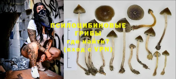 a pvp Вяземский