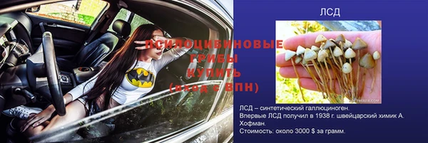 a pvp Вяземский
