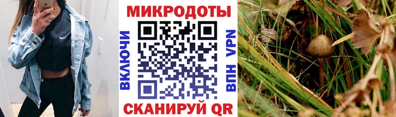 Галлюциногенные грибы мухоморы  нарко площадка официальный сайт  Городище  ОМГ ОМГ ссылка 
