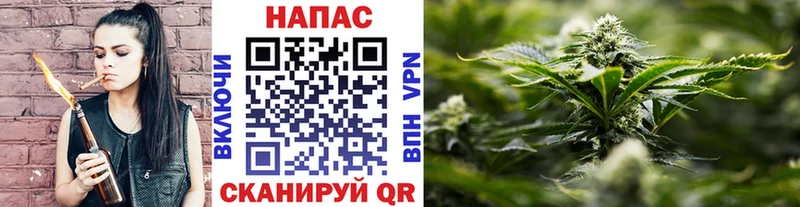 купить наркоту  Городище  Конопля планчик 